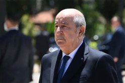 الرئيس تبون يستقبل نائب رئيس البنك الدولي لمنطقة الشرق الأوسط وشمال إفريقيا