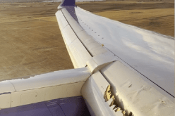 بالفيديو.. راكب ينقذ طائرة من كارثة مُحققة!