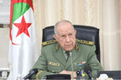 الفريق أول شنقريحة يستقبل رئيس أركان القوات البرية الهندية