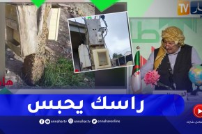 طالع هابط : شاهد أغرب أعمدة كهربائية بالعالم في تيبازة