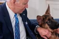 كلب جو بايدن يسبب مشاكل في البيت الأبيض