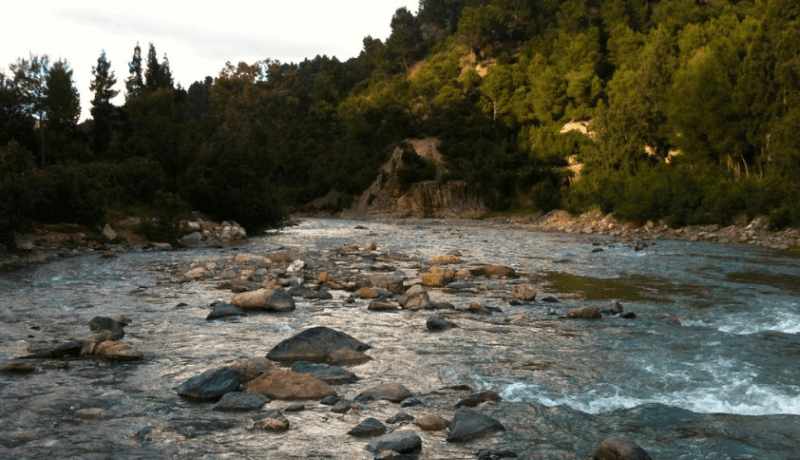انقطاع الماء في بلديات البليدة