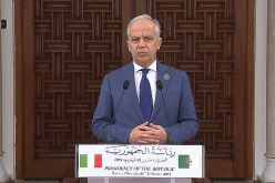 وزير الداخلية الإيطالي يشيد بمستوى علاقات الصداقة بين الجزائر وبلاده 