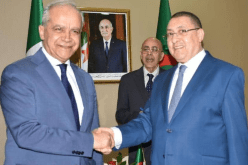 ماتيو بيانتيدوزي: الجزائر شريك بالغ الأهمية لإيطاليا