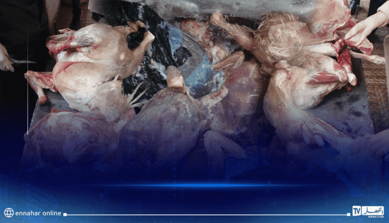 تيارت.. ضبط أكثر من نصف قنطار من اللحوم البيضاء والحمراء الفاسدة بقصابات المدينة