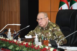 الفريق أول شنقريحة يحث على تطوير صناعة بحرية محلية