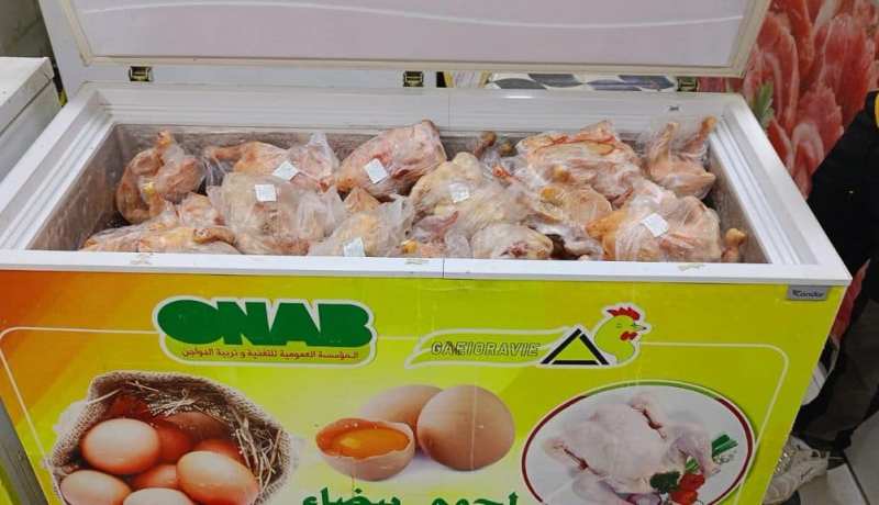 “أوناب”: تسويق كميات معتبرة من الدجاج المستورد عبر 131 نقطة