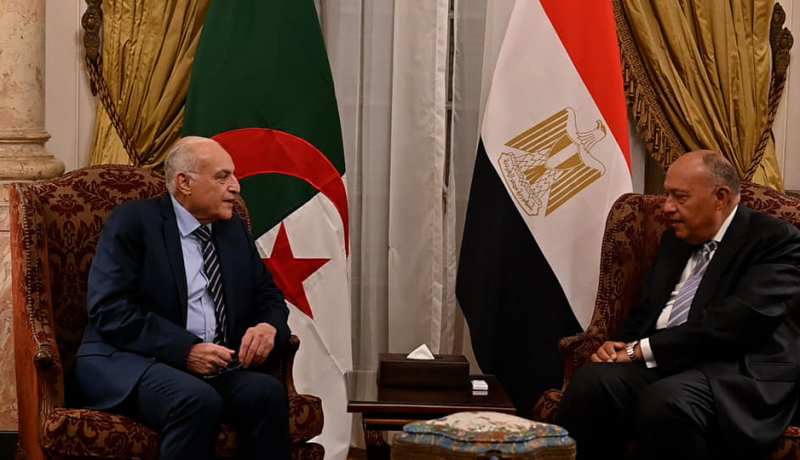 الجزائر-مصر.. تعزيز العلاقات في سياق التحضير للإستحقاقات الثنائية المقبلة