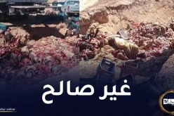 البيض: حجز 91 قنطار من الأحشاء ورؤوس البقر من سلالة الدرباني وغنم سيداون
