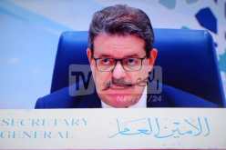 محمد حامل: من المتوقع أن يرتفع الطلب على الغاز الطبيعي عام 2050
