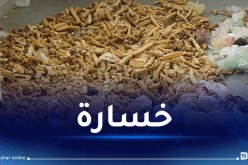 وزير التجارة: تبذير 100 مليون خبزة في شهر رمضان