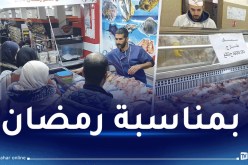 صيد بحري.. انطلاق عمليات البيع التضامني
