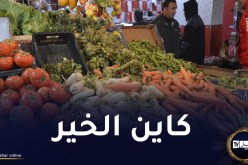 وزارة الفلاحة: كل المواد الفلاحية متوفرة في الأسواق
