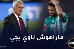 محرز يتجه للغياب عن قائمة بيتكوفيتش في التربص المقبل للخضر