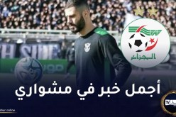 مداني: “دعوة المنتخب الوطني أحسن خبر تلقيته في مشواري الكروي”