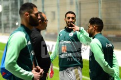 بيتكوفيتش في أول إختبار مع محاربي الصحراء