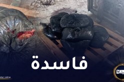 قسنطينة: الدرك يحجز أكثر من قنطار كبد الدجاج غير قابل للإستهلاك
