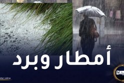 مرفوقة ببرد.. أمطار رعدية تصل إلى 40 ملم  على الولايات الشرقية