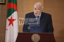 عطاف: قرار وقف إطلاق النار في غزة مكسب للقضية الفلسطينية