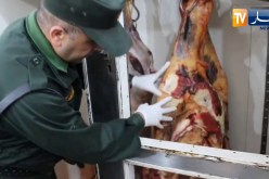 عين تموشنت: حجز أزيد من قنطار من اللحوم الحمراء الفاسدة بسيدي الصافي