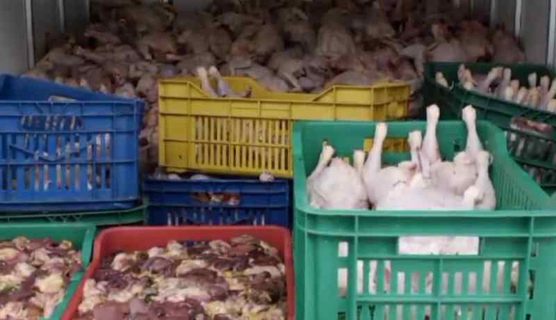 غليزان: إتلاف 10 قناطير من المنتوجات الحيوانية الفاسدة