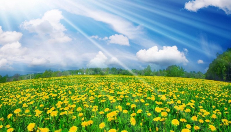 الإعتدال الربيعي.. ظاهرة فلكية نعيشها اليوم