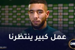 قندوسي :”أسعى للظفر بمكانة أساسية وكسب ثقة بيتكوفيتش”