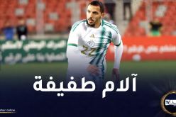 بن ناصر يغادر تربص الخضر