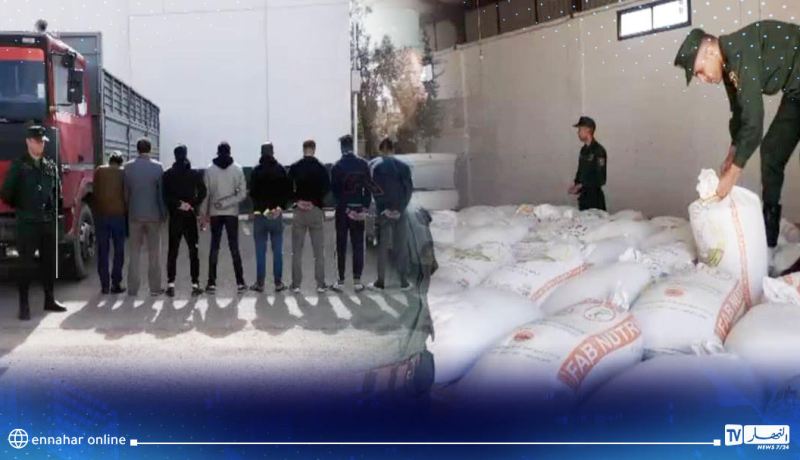بفواتير وهمية وسندات على بياض.. ملاك مطاحن يحولون قناطير من القمح اللين إلى تغذية للأنعام بوهران