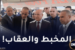 قريبا.. إغراق السوق بالدجاج لمحاربة المضاربين !