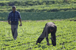 تثمين الاجراءات المعلنة لفائدة الفلاحين المتضررين من الفيضانات