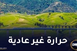 49 درجة مئوية تحت الظل طيلة نهار اليوم السبت على هذه الولايات