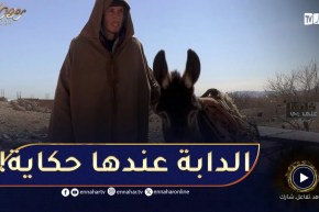 احمد يخدم حمّال ويدي 50 دينار ويصدم الجميع “الدابة اعز من عينيا” !