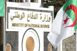 إلقاء القبض على إرهابي كان ينشط بالخارج