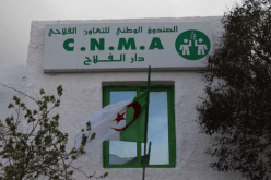 الصندوق الوطني للتعاون الفلاحي: انطلاق عملية التكفل بالمتضررين من التقلبات المناخية الأخيرة