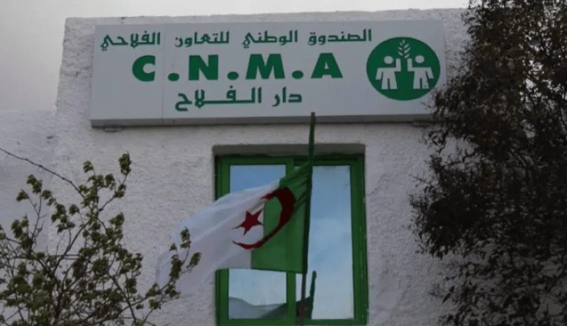 الصندوق الوطني للتعاون الفلاحي: انطلاق عملية التكفل بالمتضررين من التقلبات المناخية الأخيرة