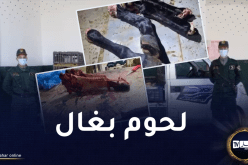 حجز 32 قنطار لحوم فاسدة في وهران