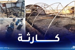 الوادي: نفوق أزيد من 15 الف دجاجة في حريق 4 مستودعات لتربية الدواجن بكونين