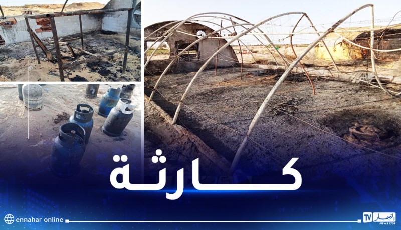 الوادي: نفوق أزيد من 15 الف دجاجة في حريق 4 مستودعات لتربية الدواجن بكونين