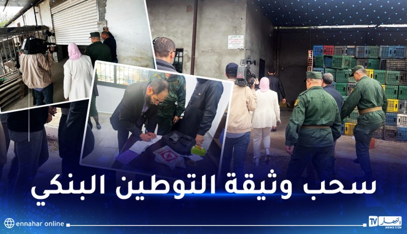 وزارة التجارة تقرر فرض إجراءات ردعية ضد مستورِدَين إثنين لمادة الموز