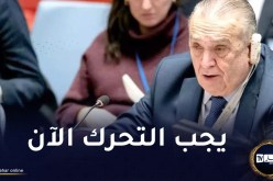 بن جامع:”لا يمكن للمجتمع الدولي أن يظل خاملا بينما تنزف الحياة من غزة”