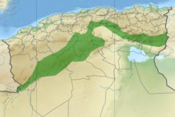 إستحداث شركات شبانية خاصة بمشروع السد الأخضر
