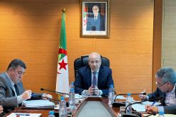 زيتوني: يجب تعزيز الرقمنة بالمركز الوطني للسجل التجاري وتحسين خدمات التجارة الإلكترونية