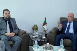 زيتوني يُقيّم السنة الأولى من الإستثمار المحلي في إنتاج الملابس الجاهزة