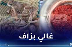 يصل إلى 250 مليون سنتيم.. هذه أسعار الزعفران في الجزائر