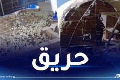 الشلف: نفوق 1000 صوص في احتراق بيت بلاستيكي ببوزغاية