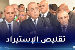 عون: إمكانية إنجاز مصنع لإنتاج مسحوق البطاطا بسبب وفرة المنتوج