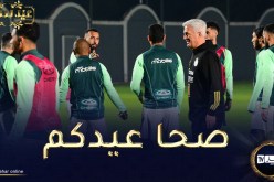 بالفيديو.. بيتكوفيتش ونجوم الخضر يهنؤون الشعب الجزائري