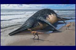 العثور على هيكل عملاق بحري من عصور ما قبل التاريخ