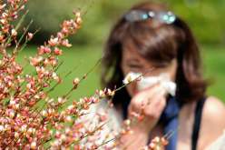 حساسية حبوب اللقاح: خمس نصائح للحد من الأعراض